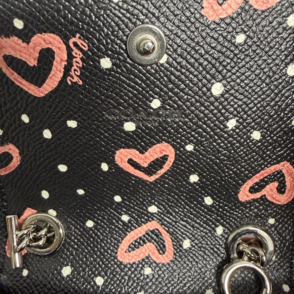 Coach North/South Leather Crossbody Phone Bag with Silver Chain - Picture 8 of 14